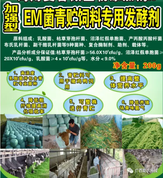 养殖牛羊小知识_养殖牛羊技术有前景吗_牛羊养殖技术有哪些