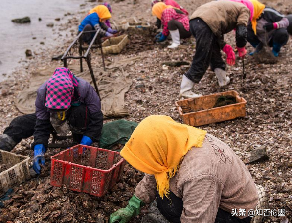 致富农村养殖种植_种什么养殖致富_致富养殖信息
