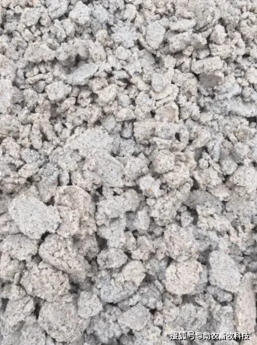 养殖牛羊技术有前景吗_养殖牛羊技术有前途吗_牛羊养殖技术有哪些
