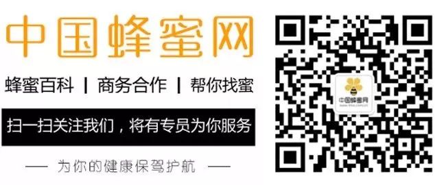 养驴网致富王玉金_致富经 养峰_致富经养蜂