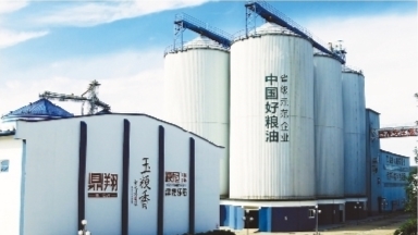 粮食产业发展典型经验材料_优质粮食工程总结_优质粮食工程典型经验交流