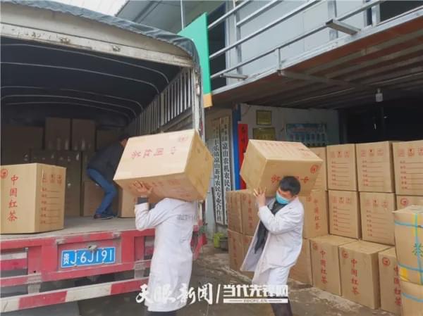 新闻致富种植春茶视频_春茶种植致富新闻_春茶新闻报道