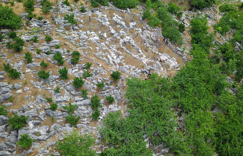 致富经农业种植_农民致富种植网_致富种植视频全集