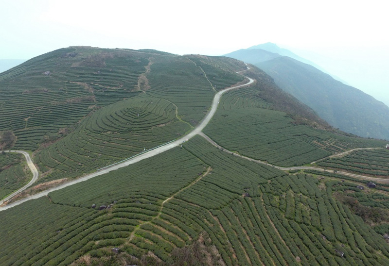 农民致富种植项目_农民致富种植网_致富种植视频全集