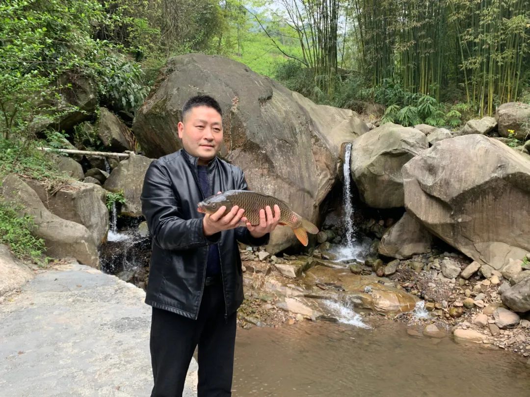 致富经养殖鱼视频_致富溪养殖鱼怎么样_养殖溪鱼致富