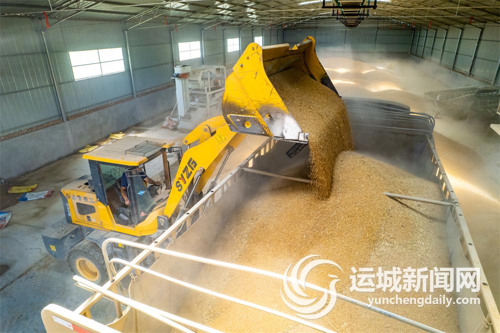 致富农场app下载_致富农场种植方法视频_农场种植致富方法