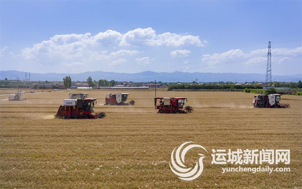 农场种植致富方法_致富农场app下载_致富农场种植方法视频
