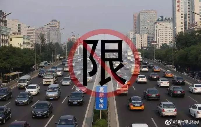 致富经养鸡技术视频_致富经小种鸡_致富经种草养鸡