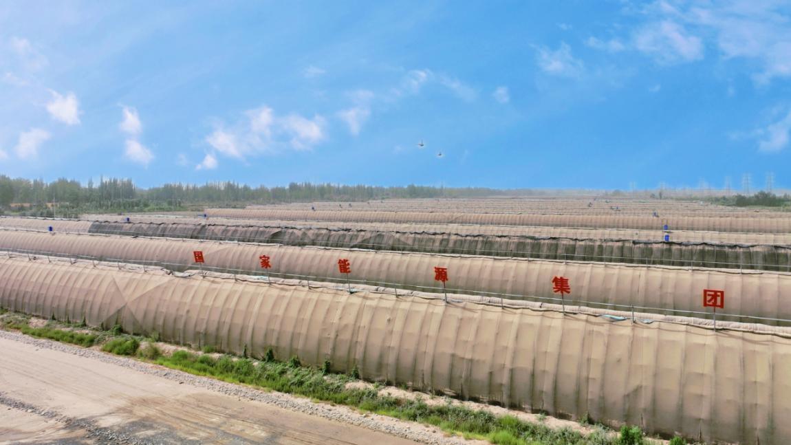 致富经 大棚种植_种植大棚带领村民致富_大棚里的致富经