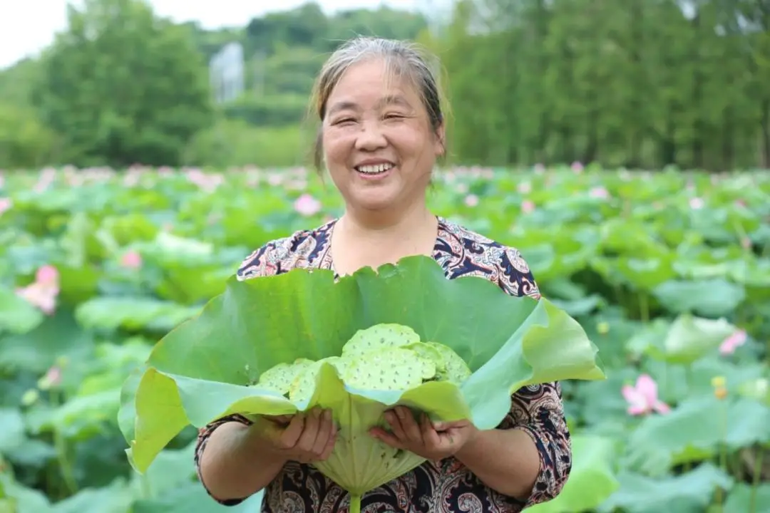 央视致富经_央视致富经莲蓬_央视致富经莲蓬