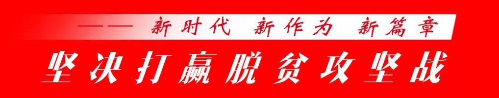 脱贫攻坚：橡胶林下种魔芋，“土疙瘩”巧变农户“聚宝盆”