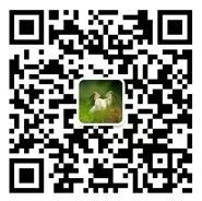 身残志坚 养殖致富_致富经残疾人养牛创业视频_致富养殖好项目大全