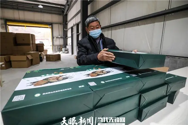 致富种植天麻图片_种植天麻挣钱吗_致富经天麻种植