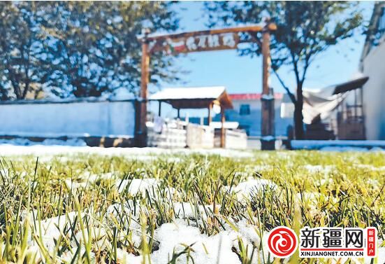 农村美，农民富！乌鲁木齐乡村焕发新活力