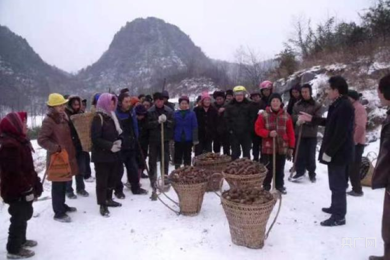 致富种植天麻怎么样_致富种植天麻视频_致富经天麻种植