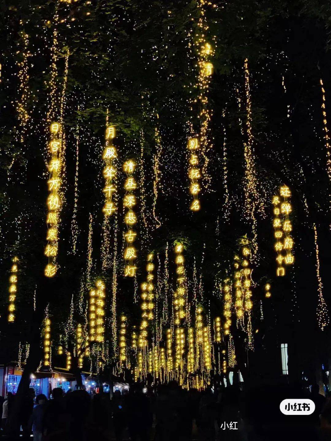 抖音知名旅游博主排行榜_抖音上的旅游博主靠什么赚钱_抖音旅游优质博主经验