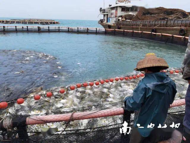 养殖致富网视频_致富网养殖业_广东网箱养殖致富