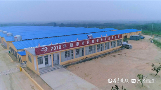 养殖肉鸭挣钱吗_养殖肉食鸭的利润成本_致富经养殖肉鸭视频