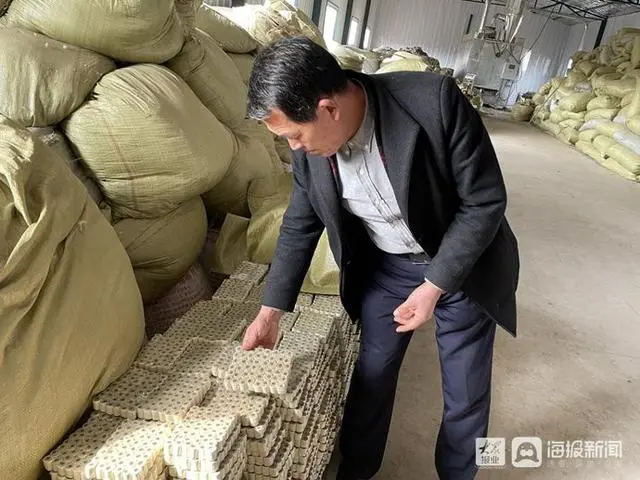 致富经艾草种植视频_种植艾草的利润如何_种植艾草挣钱吗