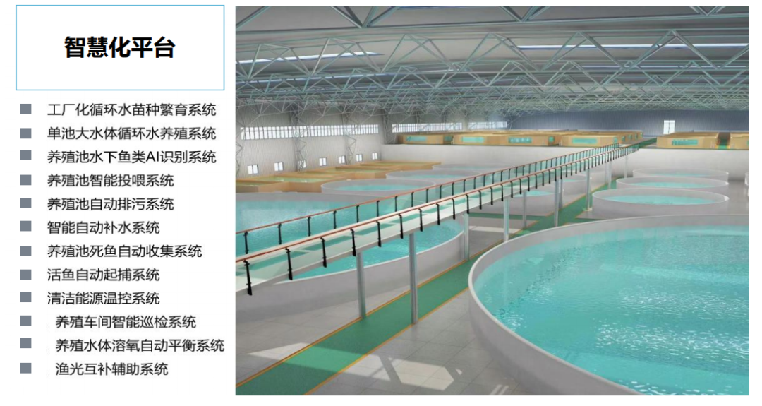 太湖猪的养殖技术视频_太湖县养殖企业_南太湖2号养殖技术
