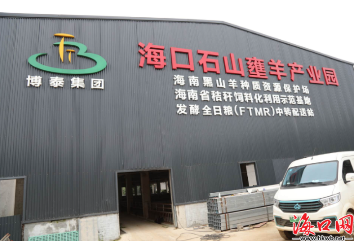 “羊”起致富风帆 海口秀英区打造乡村振兴新引擎
