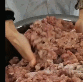运动猪致富经_致富经猪_致富养猪