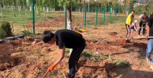 致富养猪_致富经猪_运动猪致富经