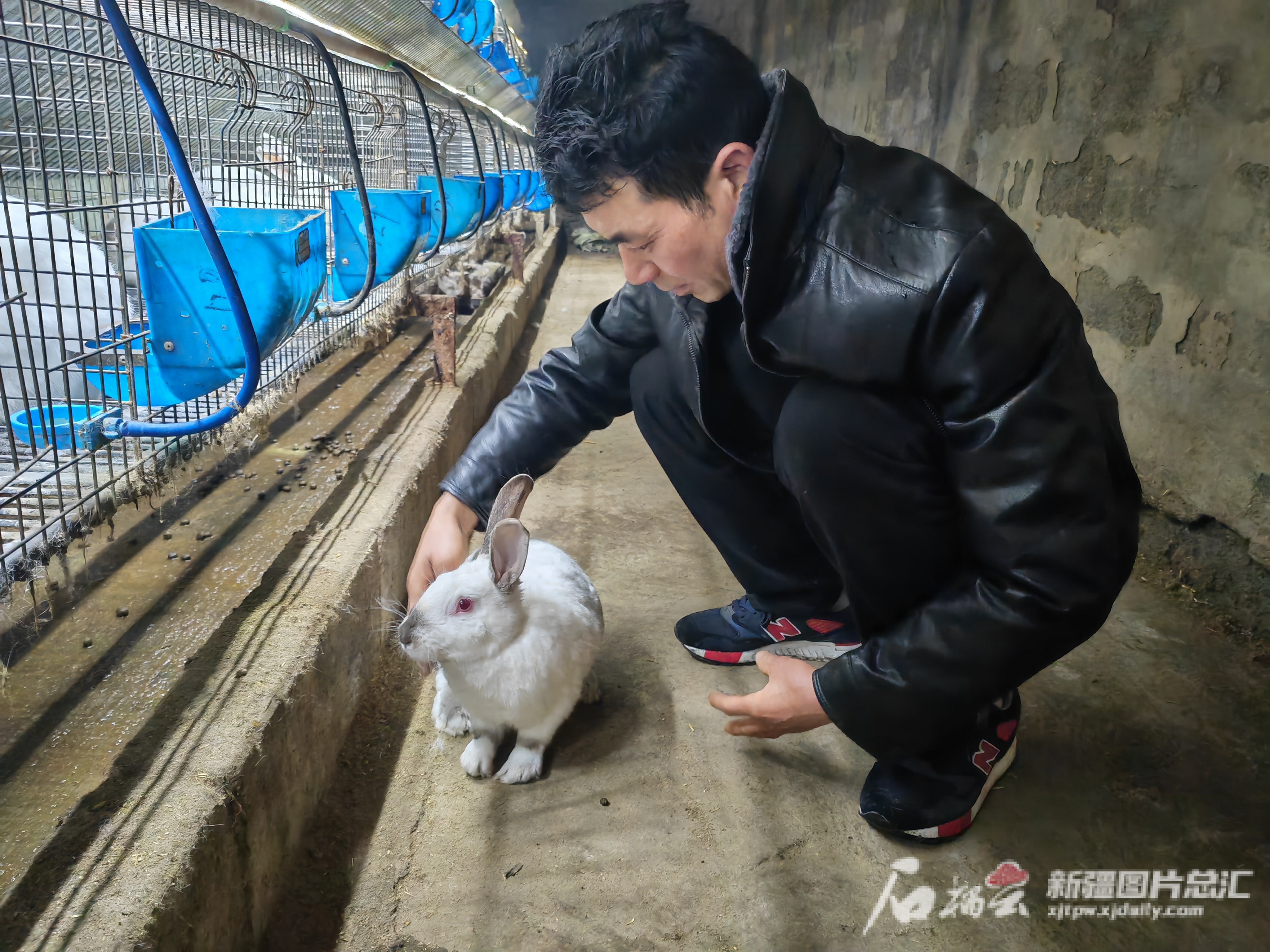 致富养殖好项目大全_致富养殖哥_致富养殖业