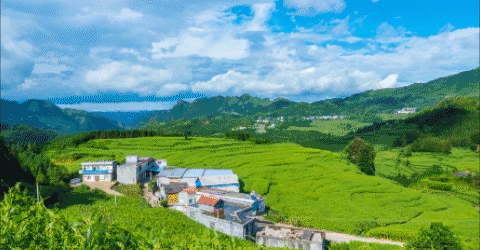 屯脚镇与仁山仁海康养旅游公司签订鲤鱼坝景区合作开发框架协议