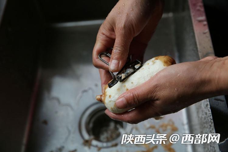 云南天麻种植技术视频_云南天麻种植基地_云南种植天麻多少钱一斤