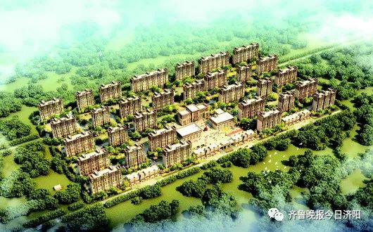 养殖金蝉需要什么条件_金蝉养殖投资多少_金蝉养殖技术资料投资