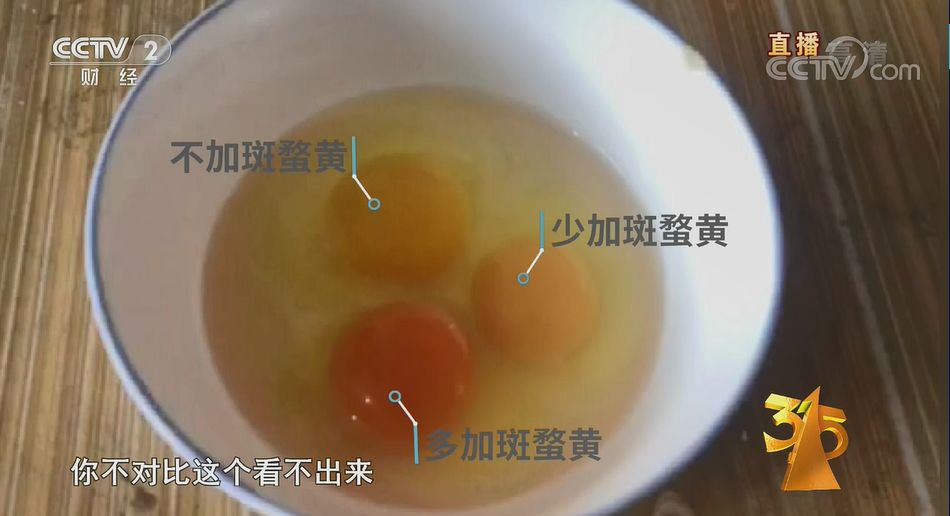 养殖金蝉的技术_养殖金蝉投资多少钱利润多少_金蝉养殖技术资料投资