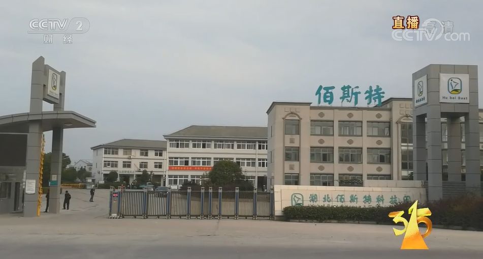 养殖金蝉的技术_养殖金蝉投资多少钱利润多少_金蝉养殖技术资料投资