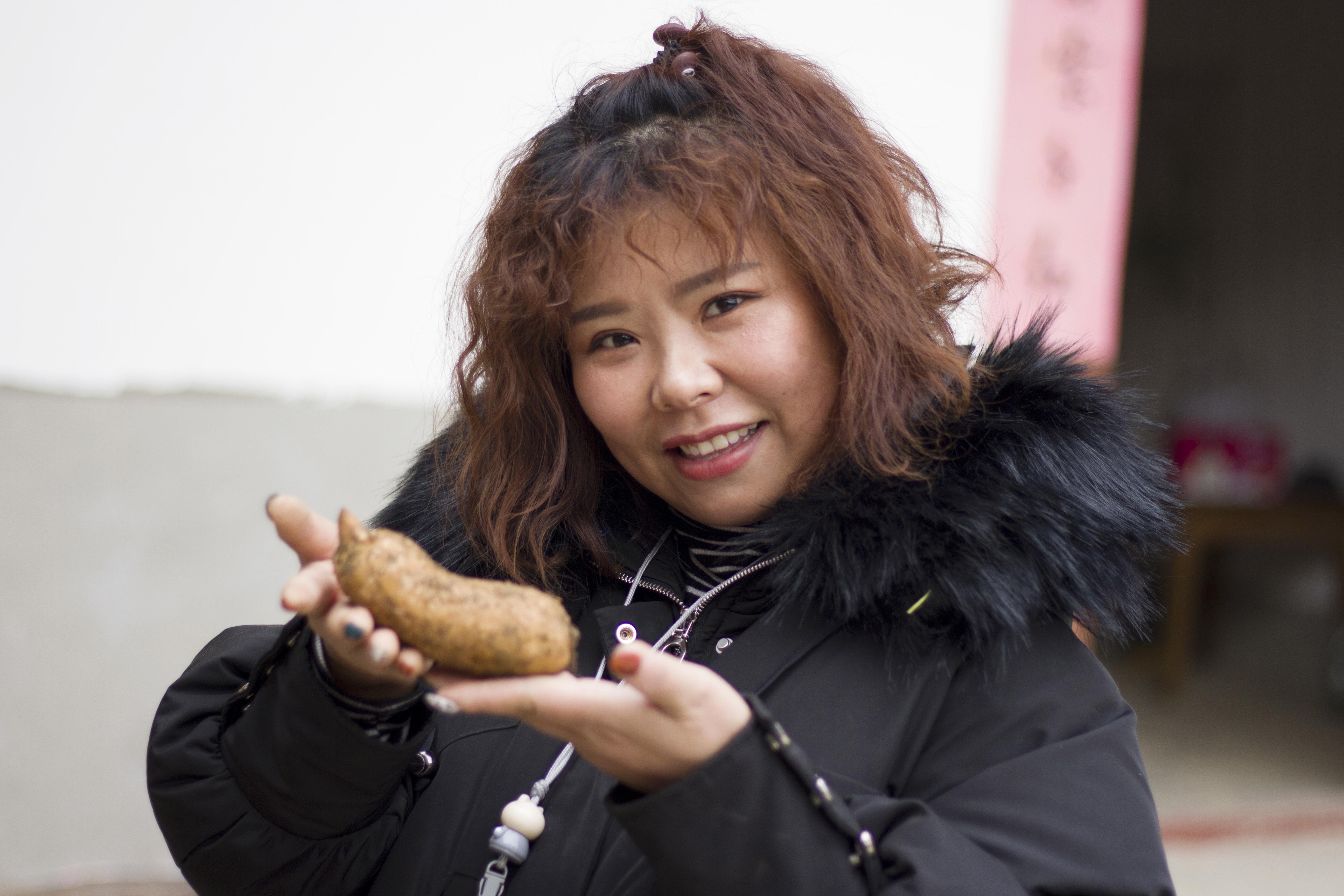 云南天麻种植技术视频_云南天麻种子_云南种植天麻多少钱一斤