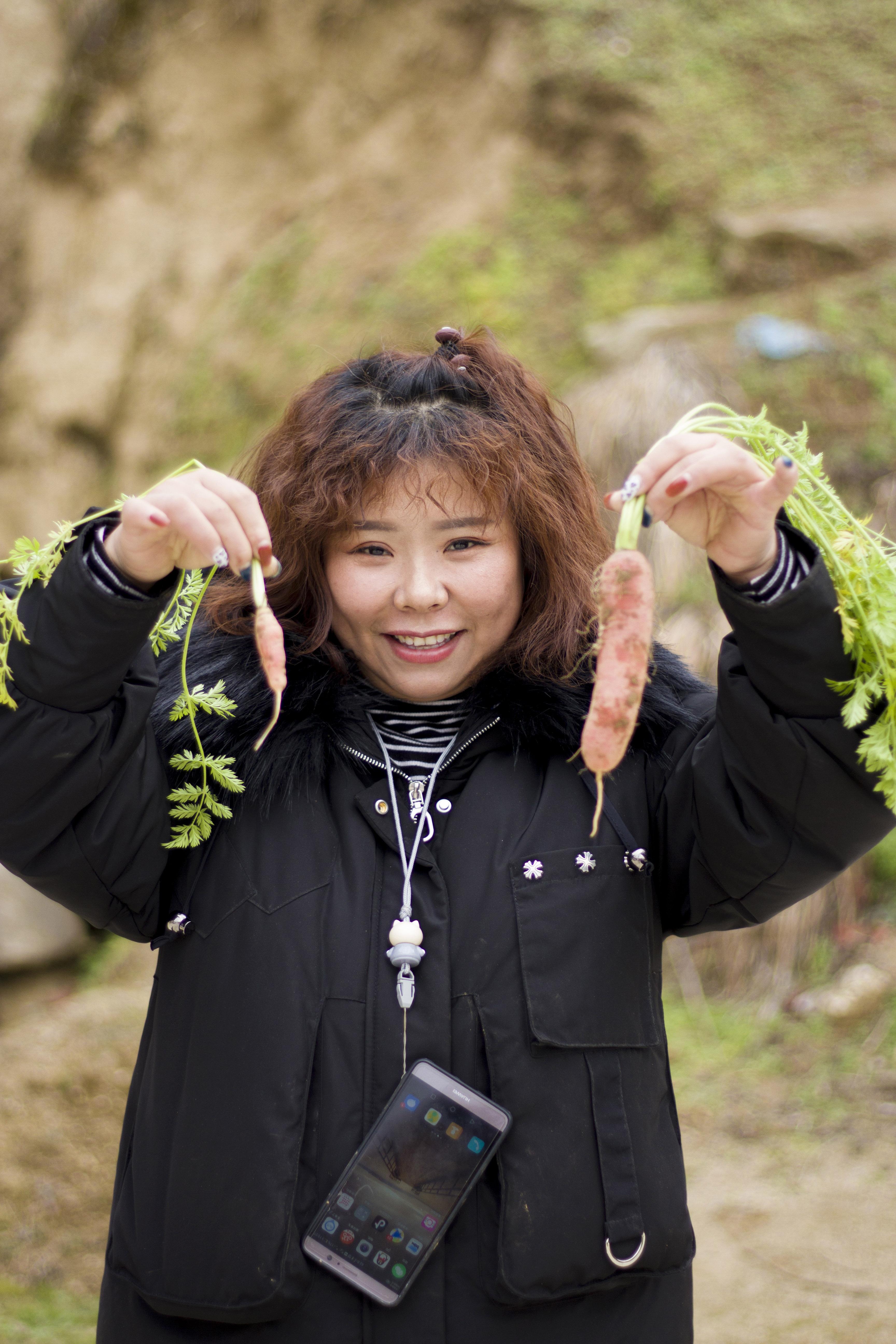 云南种植天麻多少钱一斤_云南天麻种子_云南天麻种植技术视频