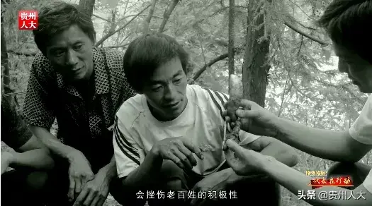 云南天麻种植技术视频_云南天麻种植基地_云南种植天麻多少钱一斤