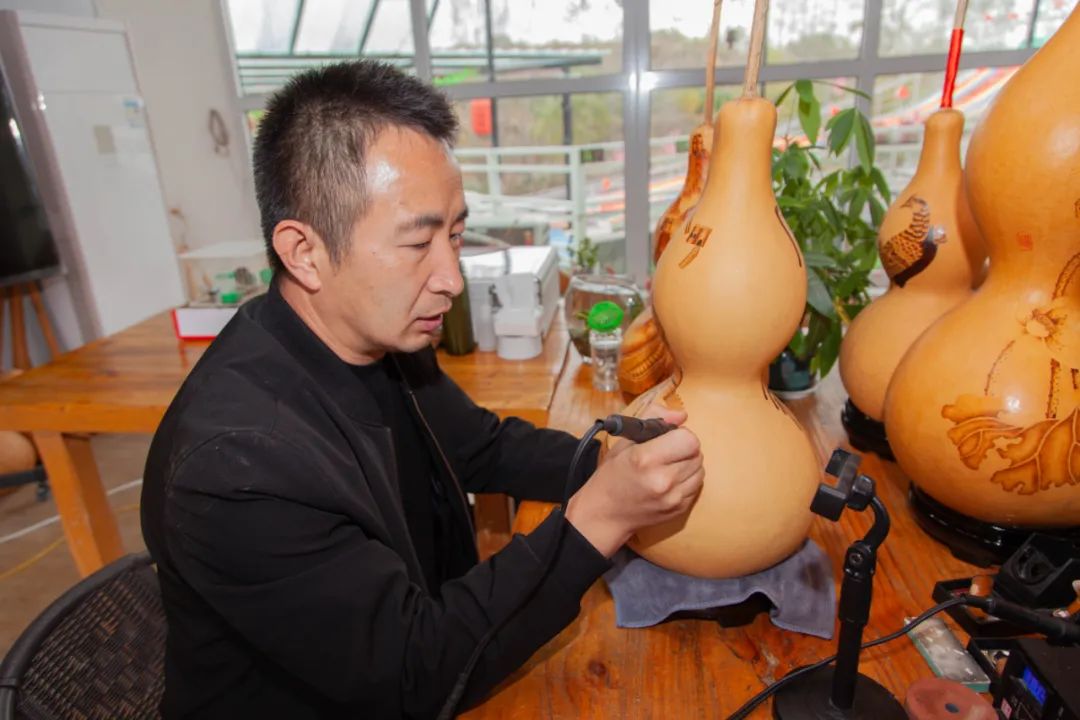 视频致富葫芦种植教程_葫芦种植视频教程_种植葫芦致富视频