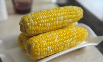 致富经甜玉米种植视频_致富玉米甜种植技术视频_致富经甜玉米种植技术