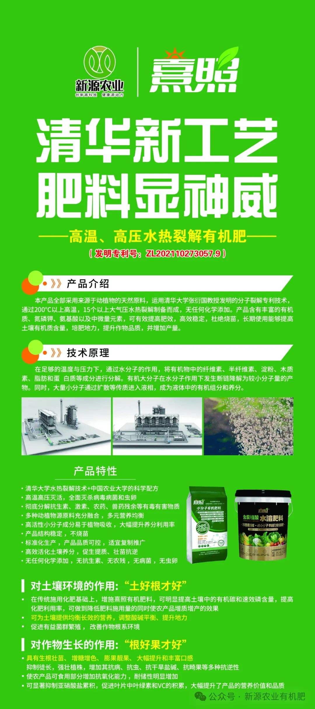 黄瓜种植高产技术_黄瓜种植致富_种植黄瓜挣钱吗