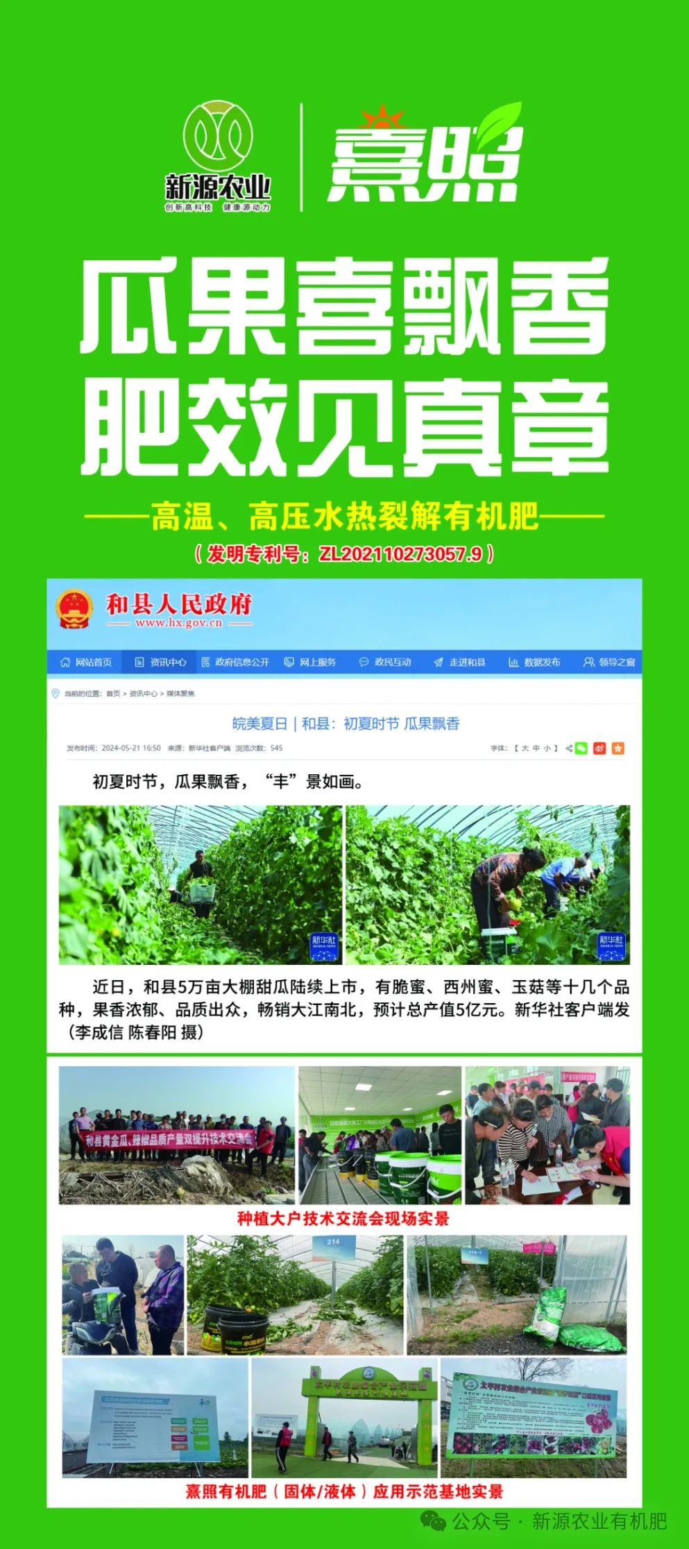 种植黄瓜挣钱吗_黄瓜种植高产技术_黄瓜种植致富
