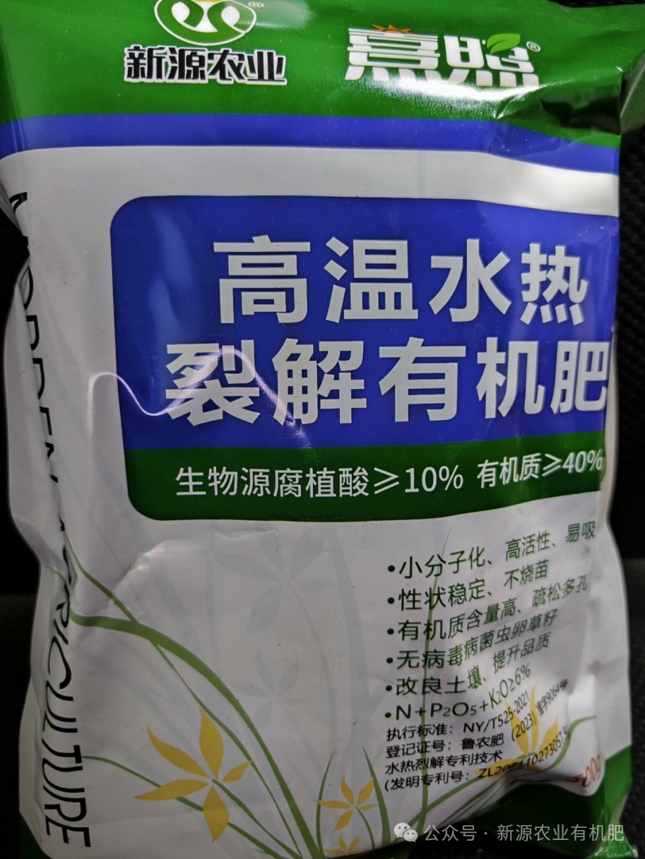 黄瓜种植高产技术_黄瓜种植致富_种植黄瓜挣钱吗