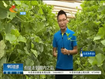 小说致富_致富一肖_致富经 价格战