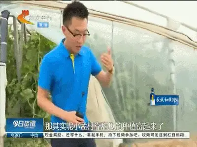 小说致富_致富一肖_致富经 价格战
