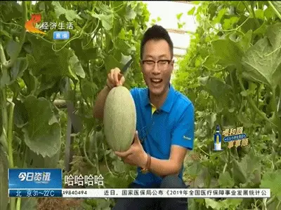 小说致富_致富一肖_致富经 价格战