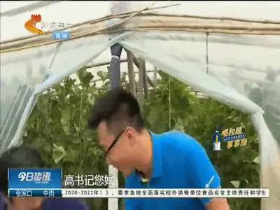 小说致富_致富经 价格战_致富一肖