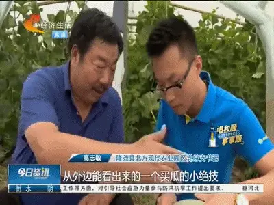 致富一肖_致富经 价格战_小说致富