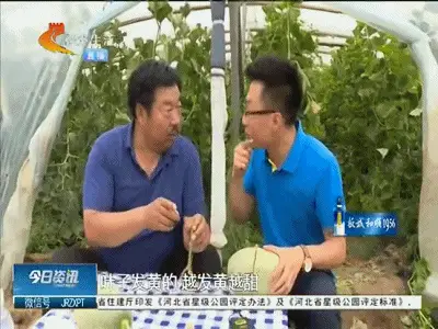 致富一肖_小说致富_致富经 价格战