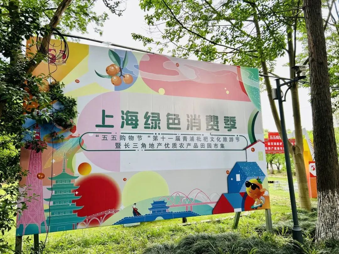 【爱生活】开采啦！青浦枇杷文化旅游节盛大开幕！攻略先收好……