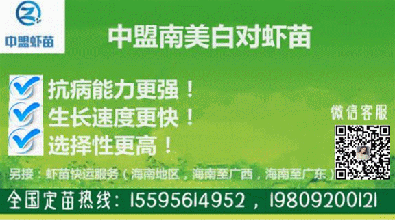 厉害！传感器+卫星，新型智能技术，正在改变整个水产养殖行业！