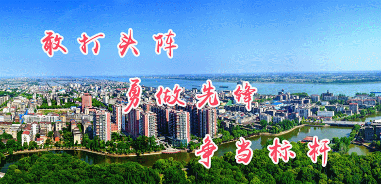 实用乳牛养殖技术 网盘_养殖牛百度网盘_养牛技术百度网盘